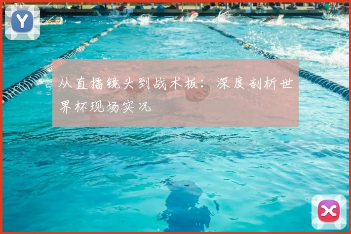 从直播镜头到战术板：深度剖析世界杯现场实况