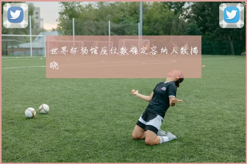 世界杯场馆座位数确定容纳人数揭晓