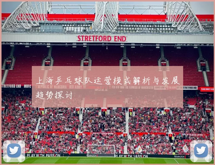 上海乒乓球队运营模式解析与发展趋势探讨