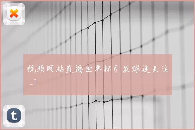 视频网站直播世界杯引发球迷关注 _1
