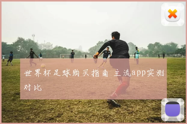 世界杯足球购买指南 主流app实测对比