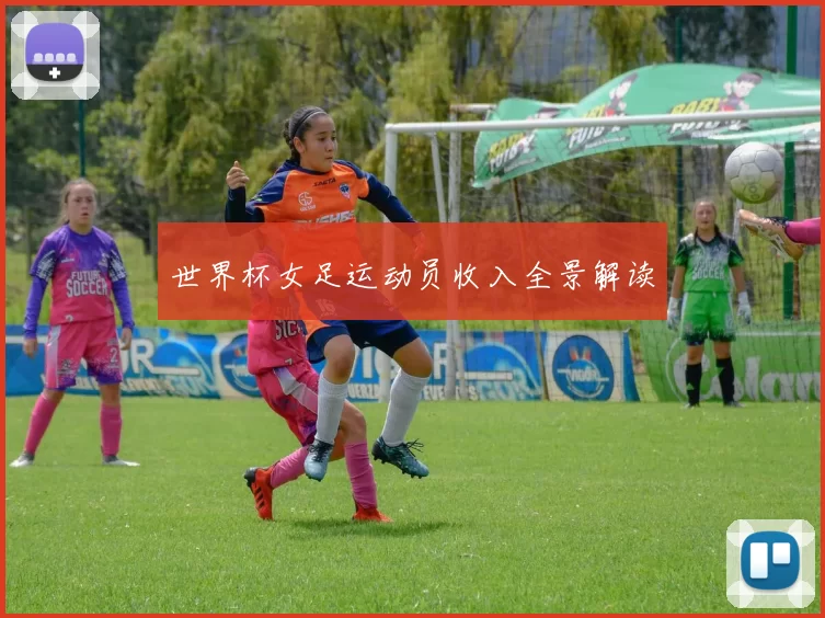 世界杯女足运动员收入全景解读