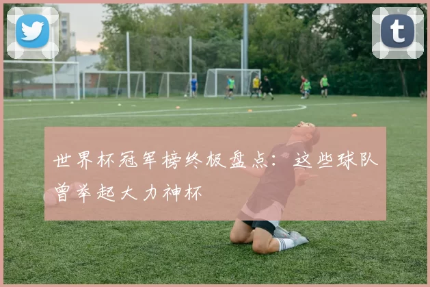 世界杯冠军榜终极盘点：这些球队曾举起大力神杯
