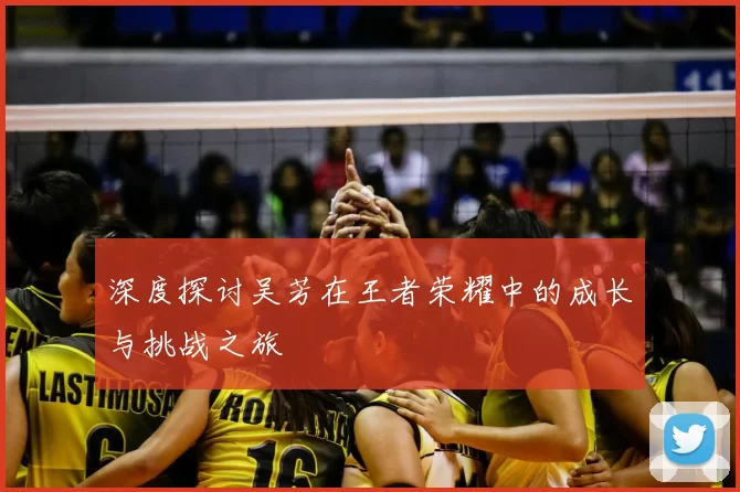 深度探讨吴芳在王者荣耀中的成长与挑战之旅