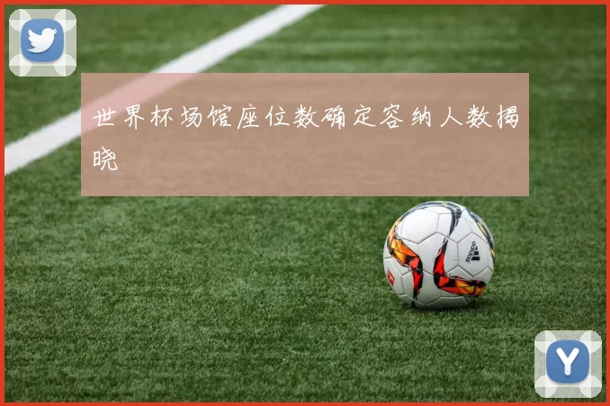 世界杯场馆座位数确定容纳人数揭晓