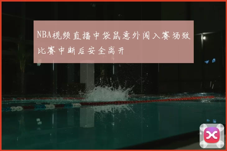 NBA视频直播中袋鼠意外闯入赛场致比赛中断后安全离开