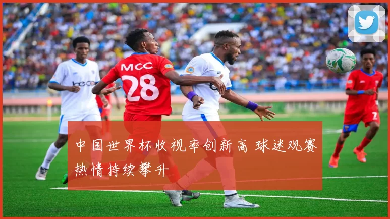 中国世界杯收视率创新高 球迷观赛热情持续攀升