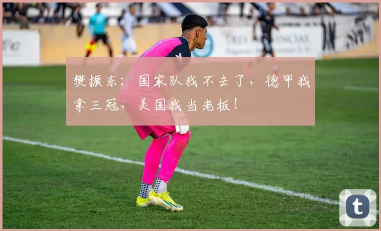 樊振东:国家队我不去了,德甲我拿三冠,美国我当老板!
